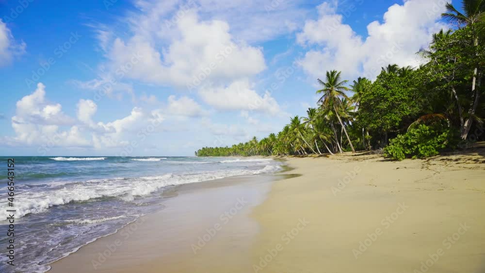 Summer seascape with palm sandy beach. Green jungle on the white sand of the Dominican Peninsula. Sea waves and blue sky with clouds for travel and vacation. Summer seascape with palm sandy beach. Green jungle on the white sand of the Dominican Peninsula. Sea waves and blue sky with clouds for travel and vacation.