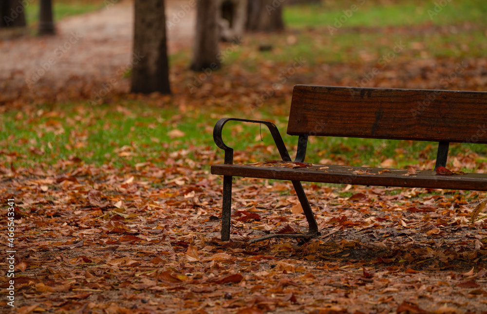 Wooden bench in public park during rain in autumn. Shot in Retiro Park, Madrid, Spain Wooden bench in public park during rain in autumn. Shot in Retiro Park, Madrid, Spain
