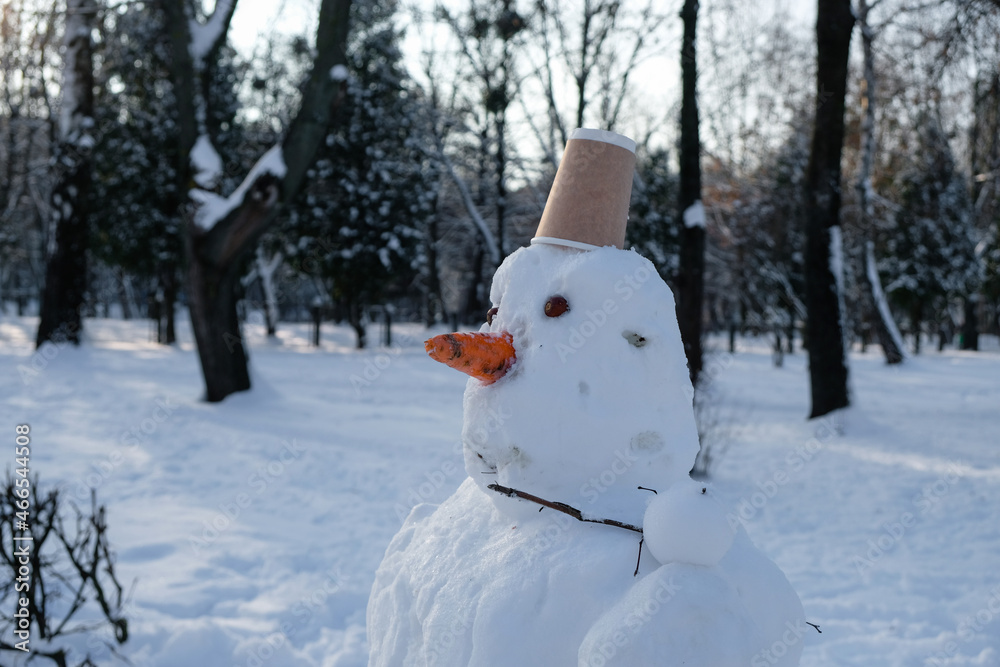 A snowman with acorns eyes and a carrot nose. Disposable paper cup instead of a cap. Evening golden hour in the city park. A snowman with acorns eyes and a carrot nose. Disposable paper cup instead of a cap. Evening golden hour in the city park.