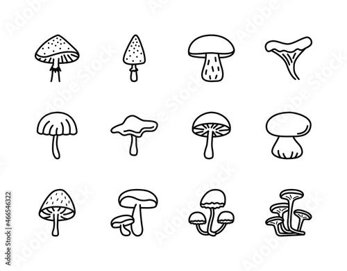 Mushrooms flat line icons set. Poisonous and edible mushroom symbol. Simple flat vector illustration for web site or mobile app