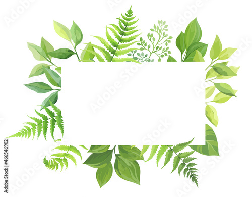 Green leaves rectangular frame template. Floral border with place for text. Forest herbs design. Vector illustration..
