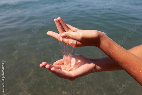 Fotografie Beroe cucumis is a species of comb jelly in family Beroidae in female hands on surface water