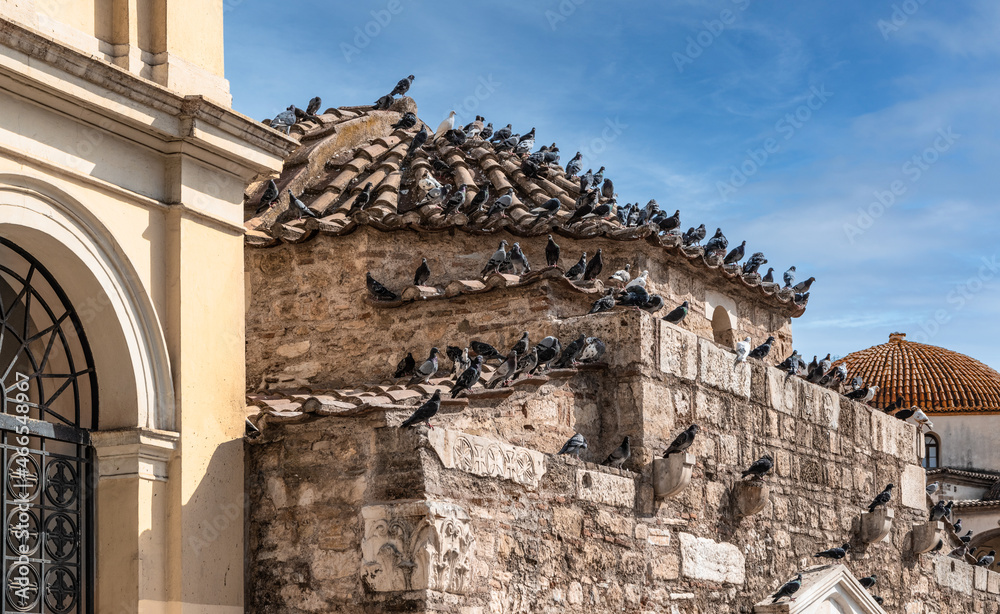 Many pigeons on the roof of the church of Pantanassa on Monastiraki square in Athens, Greece.