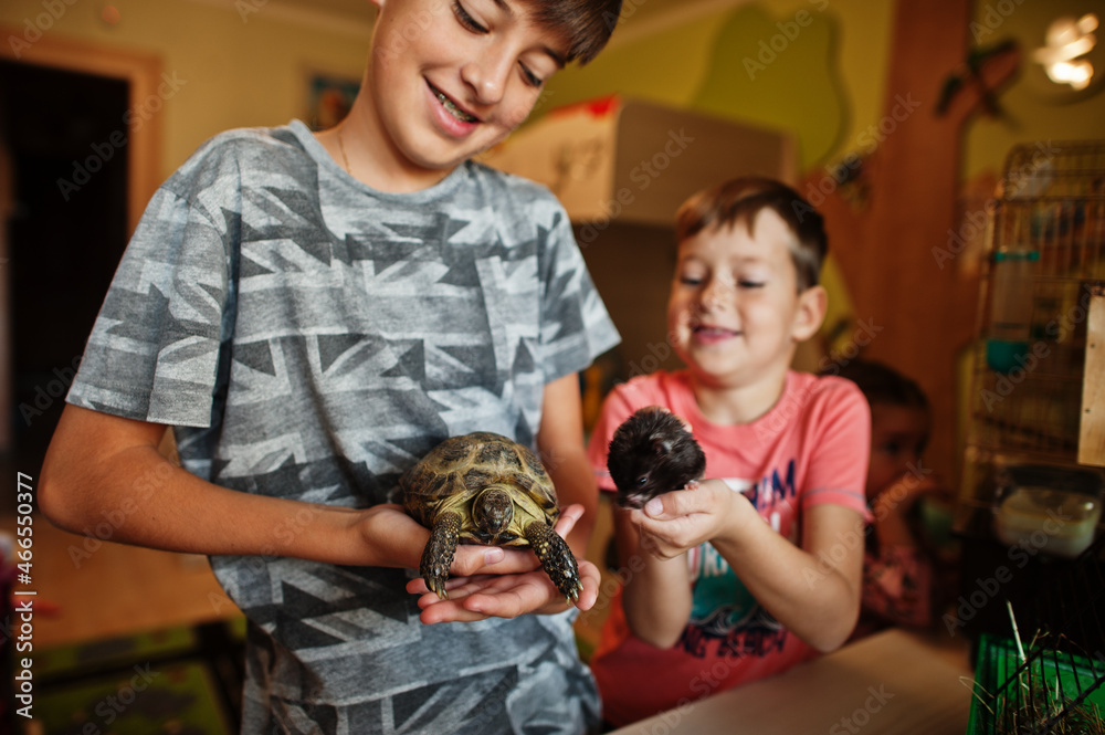 Children holding their favorite pets on hands. Kids playing with hamster,turtle and parrots at home. Children holding their favorite pets on hands. Kids playing with hamster,turtle and parrots at home.