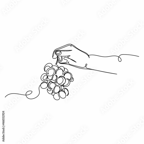 Vector continuous one single line drawing icon of hands with ripe grapes in silhouette on a white background. Linear stylized.