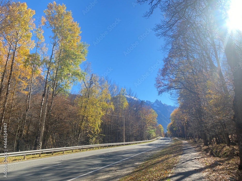 Fototapeta premium The road in the mountains