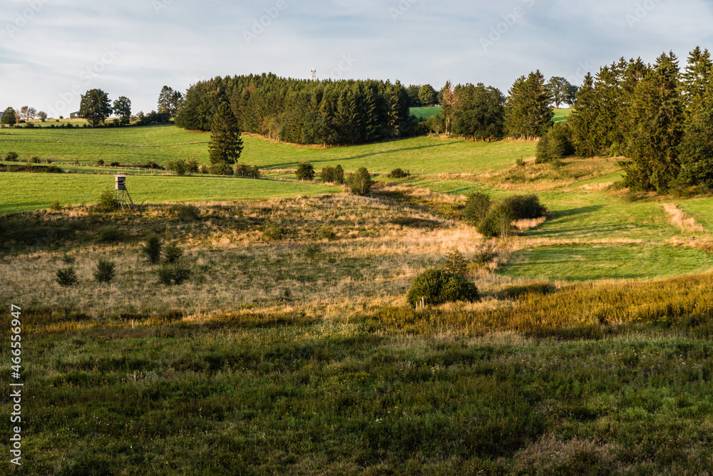 Nature landscape view in East Belgium with a low sone late summer Nature landscape view in East Belgium with a low sone late summer