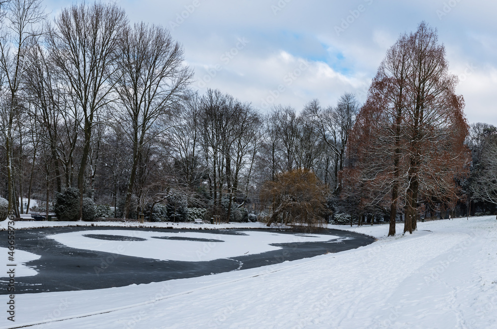 Snow nature landscapes in a Brussels park with bare trees
