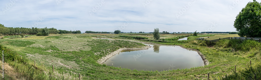 Wtaer pond and green surroundings around the coastal area of Flanders, Belgium Wtaer pond and green surroundings around the coastal area of Flanders, Belgium