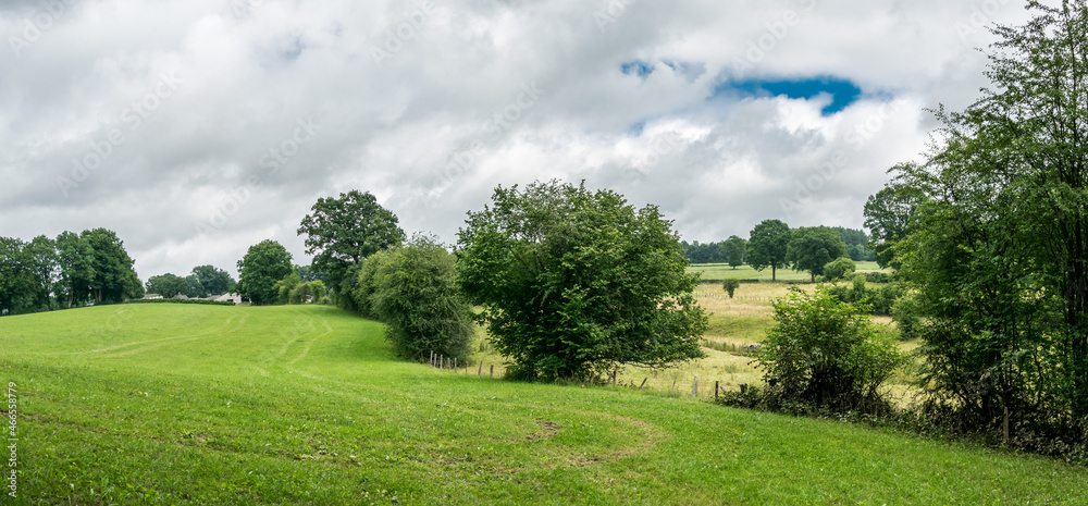 green hills, trees and meadows
