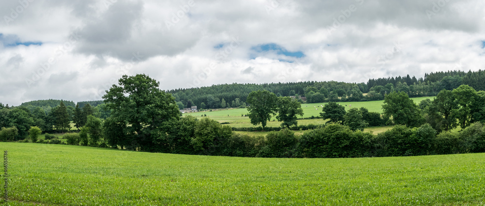 Extra large panoramic view at the Belgian countryside with green hills, trees and meadows