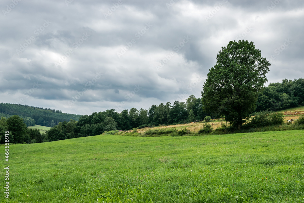 Green meadows and woods at the Belgian countryside in the Ardennes region Green meadows and woods at the Belgian countryside in the Ardennes region