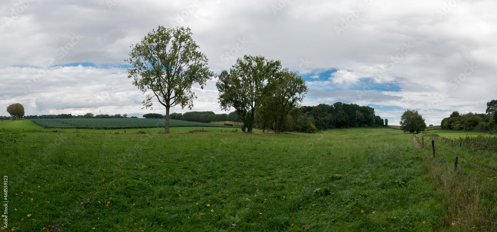 Green meadows and agriculture fields at the Flemish countryside