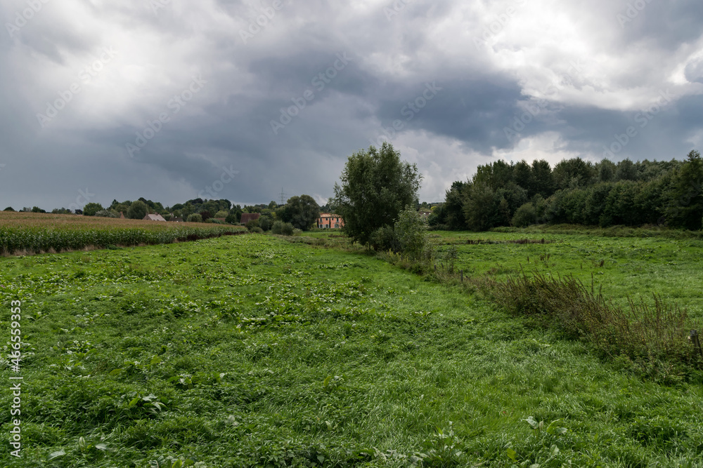 Green meadows and agriculture fields at the Flemish countryside