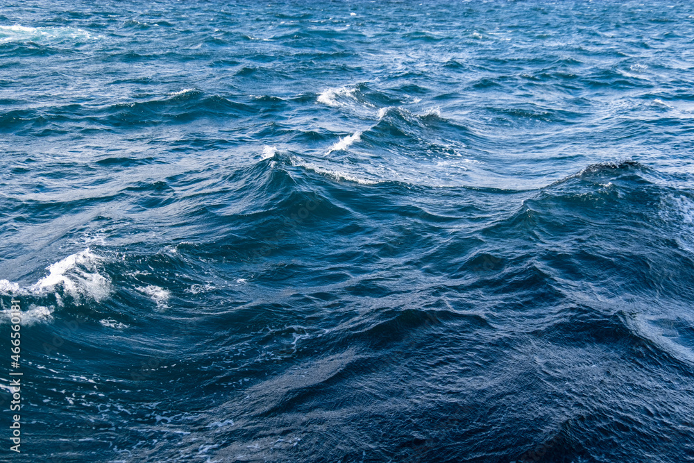 waves on the sea surface