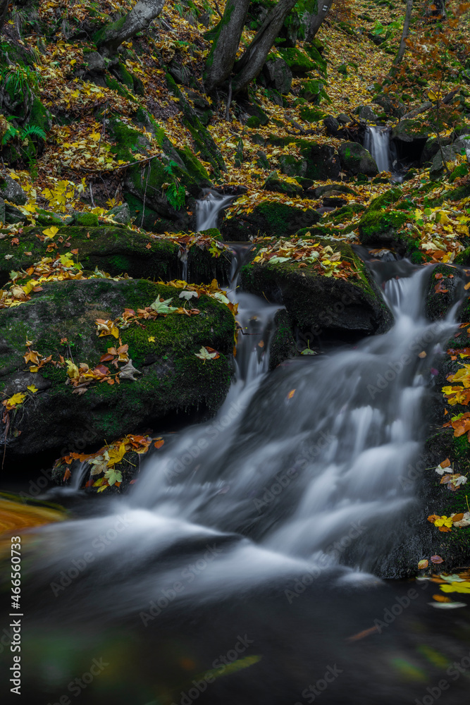 Sumny creek in autumn morning in Jeseniky mountains