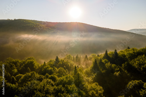 Aerial view of bright foggy morning over dark forest trees at warm summer sunrise. Beautiful scenery of wild woodland at dawn.