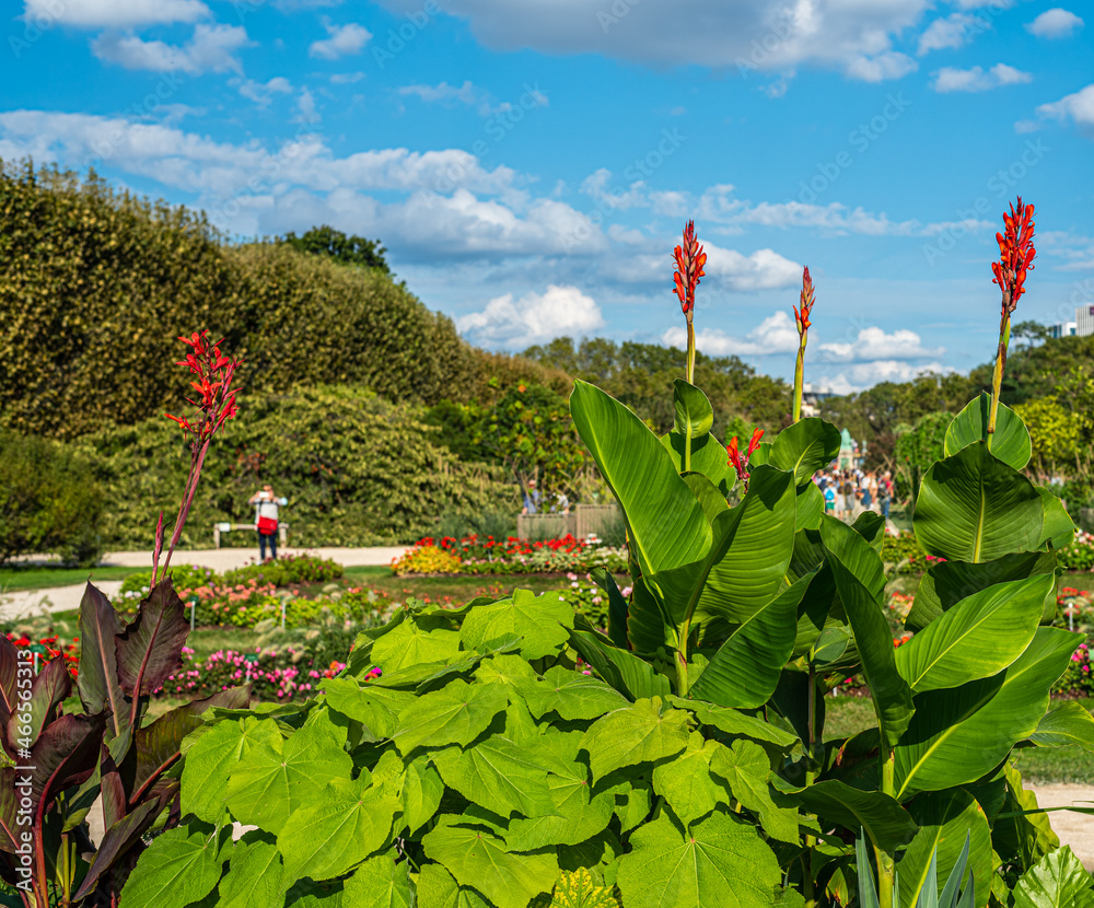 Balade au parc