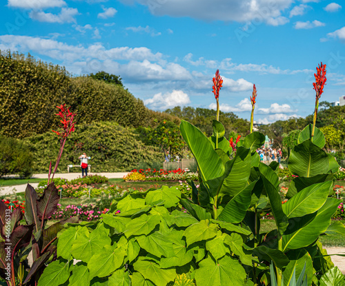 Obraz na płótnie Balade au parc w salonie
