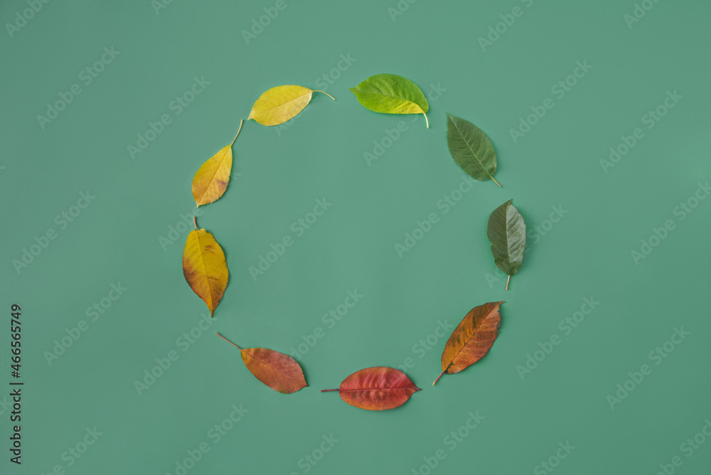 Life cycle time in circular form by leaves in colors from green, yellow ...