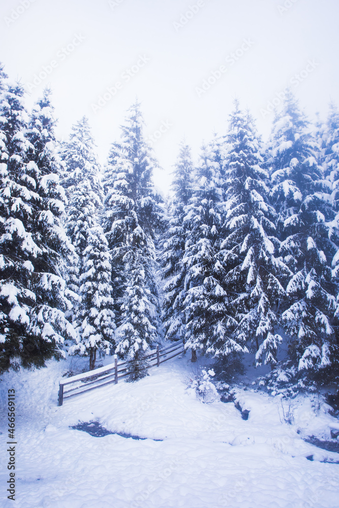 Obraz premium Winter in the mountains and windbreak after snowfall