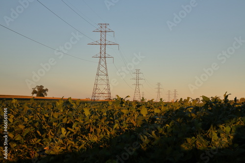 Power towers in a farm field at sunset