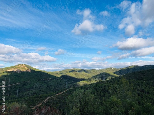 Collserola 