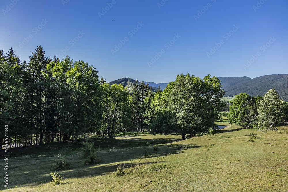 Vercors Regional Natural Park located on Vercors Plateau some 10 km west of Grenoble. Autrans, Auvergne-Rhone-Alpes, France.