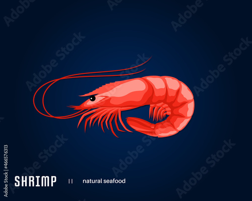 Shrimp vector illustration. Seafood icon isolated on a dark blue background