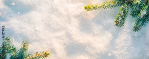 Spruce branches on the snow shining in the sunlight. Christmas copy space background