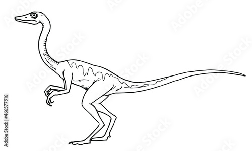 Procompsognathus dinosaur vector stock illustration.