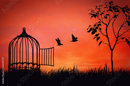 Canvas Print Conceptual scene with birds couple break free from a cage