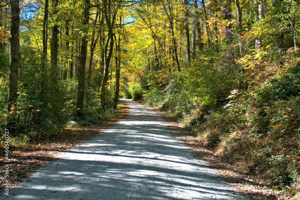 Fototapeta premium Water Falls of North Carolina