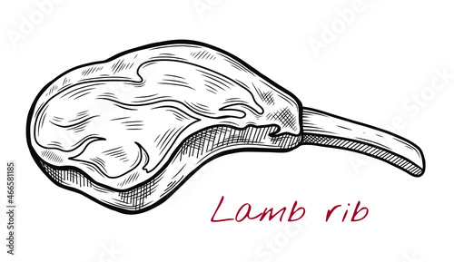 Vector sketch illustration of lamb chop6 raw meat drawing isolated on white. Engraved style. natural business. Vintage, retro object for menu, label, recipe, product packaging