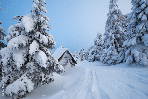 Obraz na płótnie amazing winter landscape with wooden hut and frozen fir forest w salonie