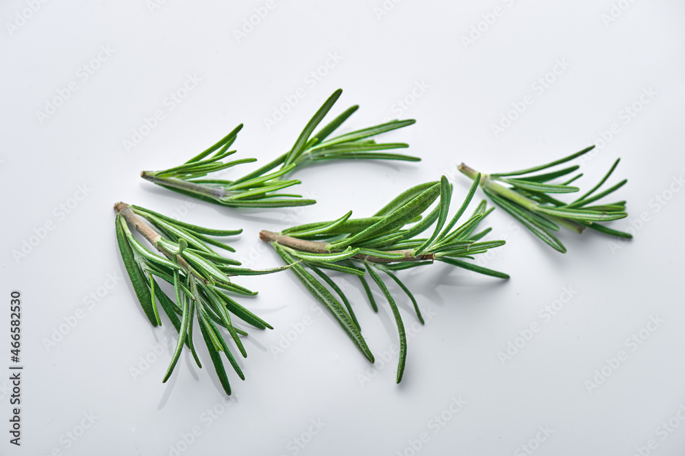 Fototapeta premium Fresh rosemary bunch on white background.