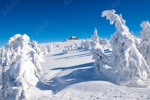 Obraz na płótnie Szrenica peak in Giant mountains during winter in Poland w salonie