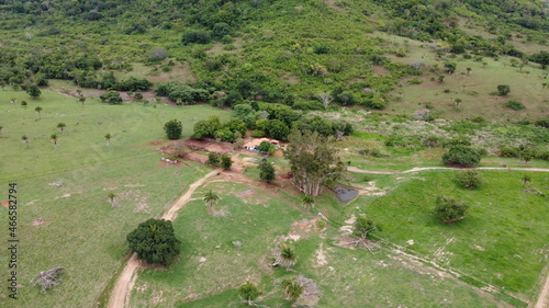 fazenda goiais
