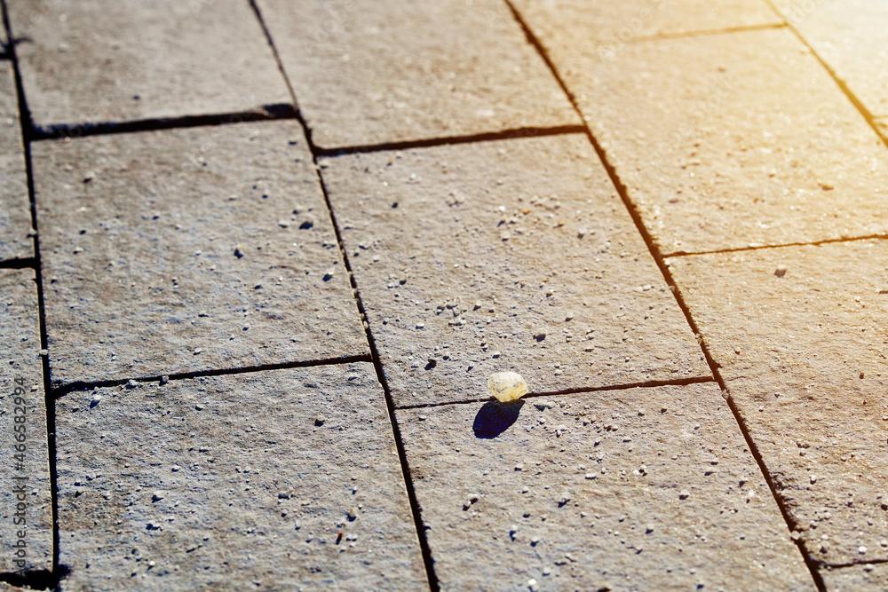 Rock salt crystals (sodium chloride) on paving slabs and asphalt roads