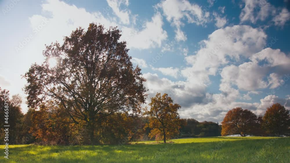 Time lapse of a tree with the sun in the treetop Time lapse of a tree with the sun in the treetop
