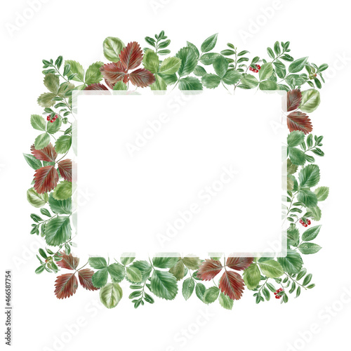Rectangular frame made of green leaves decoration 