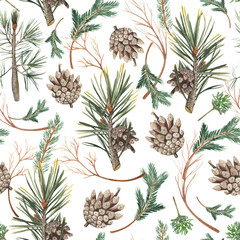 Keuken achterwand Jungle Dennentakken en dennenappels aquarel patroon  © Julia
