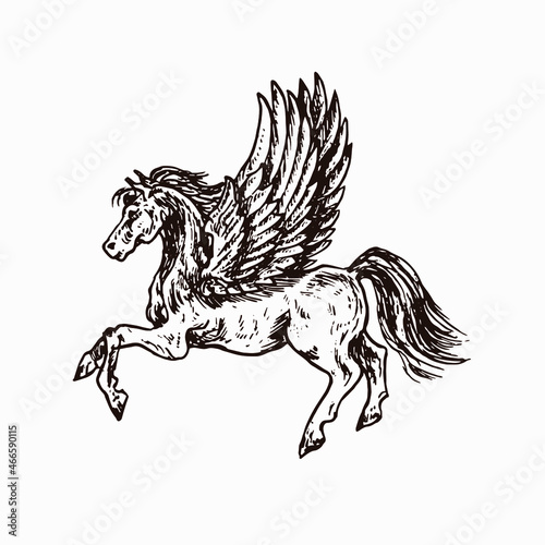 Pegasus, hand drawn doodle sketch, ink drawing illustration