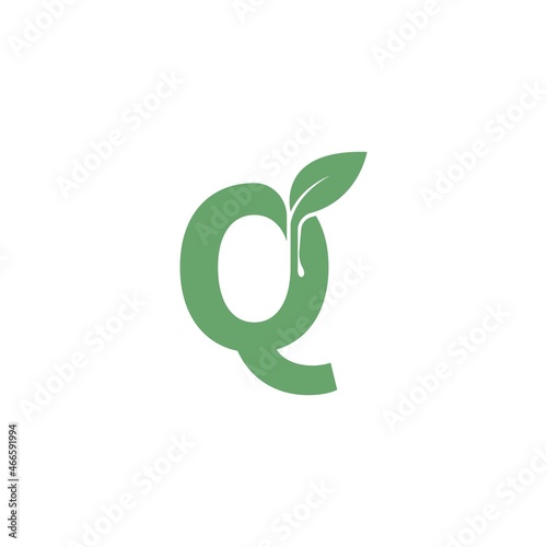 Letter Q icon leaf design concept template