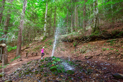 Geyser fountain of cold water in the summer forest. Mountain Kopaonik, Serbia.