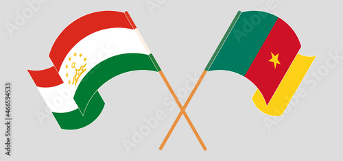 Crossed and waving flags of Tajikistan and Cameroon
