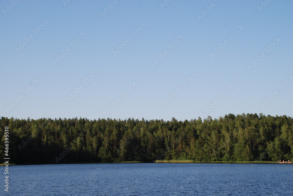Forest lake with blue water. Summer day, The surface of the water in the lake with small waves, from above there is a clear blue sky. On the other side of the lake there is a green coniferous forest. Forest lake with blue water. Summer day, The surface of the water in the lake with small waves, from above there is a clear blue sky. On the other side of the lake there is a green coniferous forest.