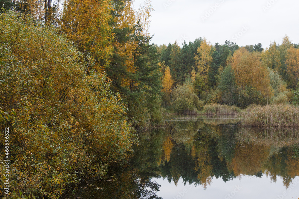 Little lake in Moscow region, Russia.cloudy day in October.  Colorful trees