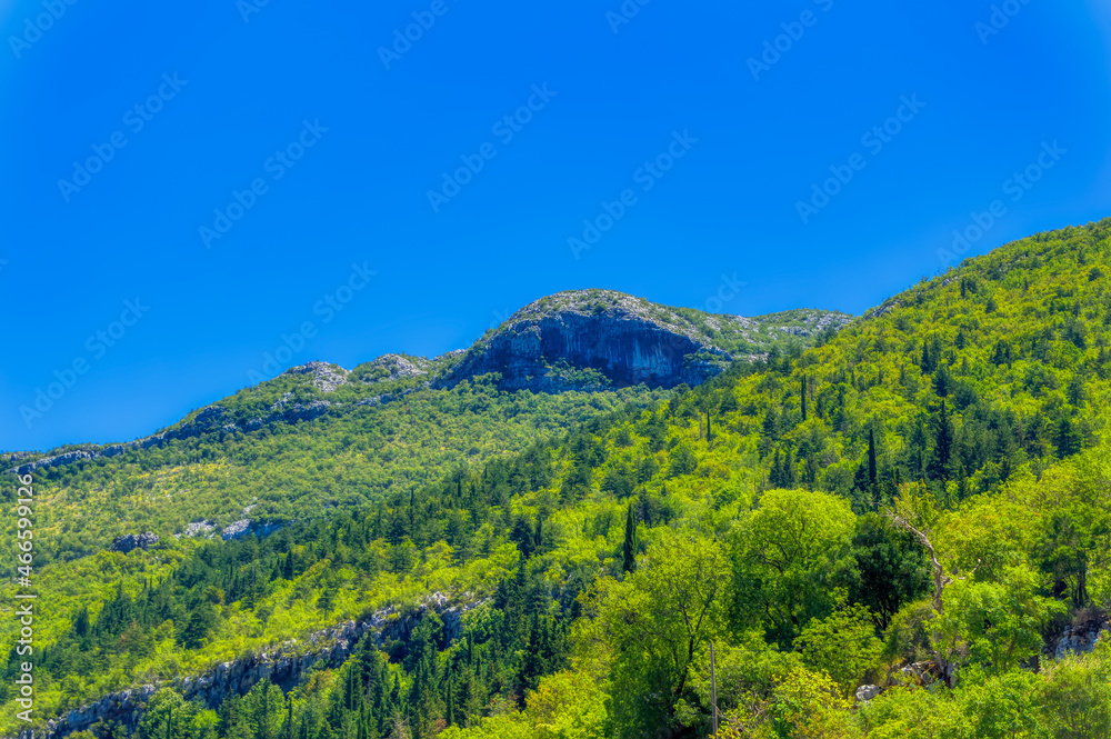 Mountain landscape covered with greenery during summer day.