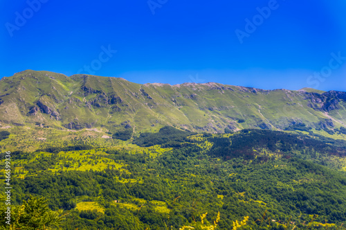 Mountain landscape covered with greenery during summer day.